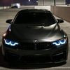 667_shshs