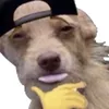 qcwuyphiphaiiii