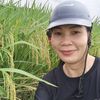 huyen.quach64