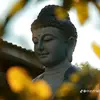den.di.thong.dong1