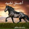 user1776003451324