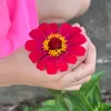 isabella.tavares30