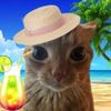 sumer_cat67
