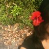 shreyansha16