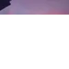 lee_salvadico