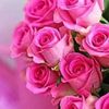 javaid.akhter21