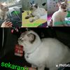 candra.candra014