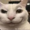 whitecuckyyy