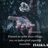 cavidan0195