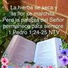 manuel.jimenez574