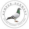 kemper_racing_pigeons_germany