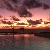 tom_faulks1