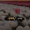 user6109787003715