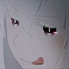 echida_ao