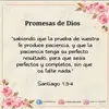 dominga.hernndez6