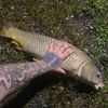 fishermanchan