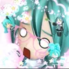 lily_socorro