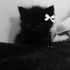dasha_serdce