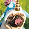 unicorn.puggles