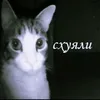 video.games065fi