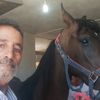jehadqaradeh