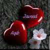 aqib.javed102