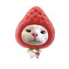 febby3519