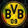 nur.der.bvb.9