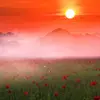 scenery9413