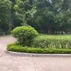 the_nguyen_312