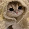 duy.anh.capcut