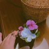 hafsa.hossam34