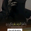 saudi.arabia836