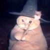 shemshat7770
