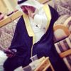 user1477213297143