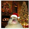 lukatompkins