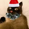 suppskb
