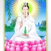 hungdao4196