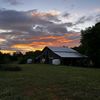 poplarhollowfarm