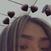 arlet_dae