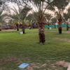 kalad0756