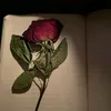 rawan4848nvvhi