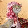 its.all.batoul.yall