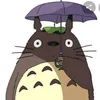 user2295042503259