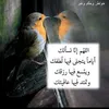user6165739449878