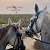 x_khaoula_48_x