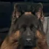 estupendo42
