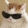 bielzinho30_0