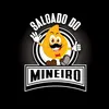 Salgado do Mineiro