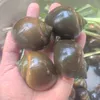 traiocbuudenbinhdinh